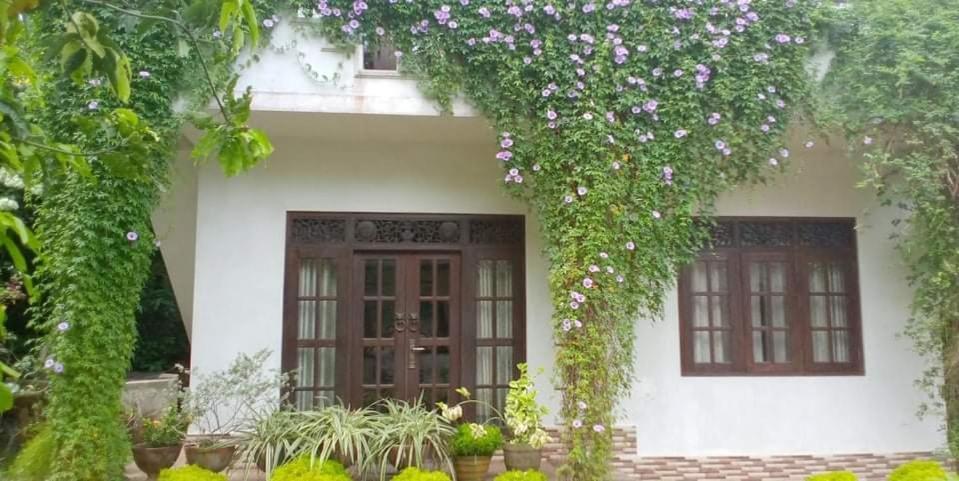 Abha Villa Galle Exteriér fotografie