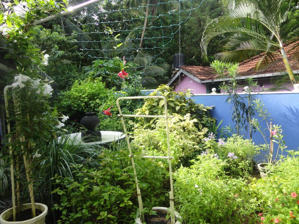 Abha Villa Galle Exteriér fotografie